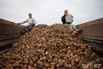 Як ми їздили на картоплю, Back in the USSR ussr