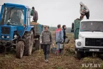 Як ми їздили на картоплю, Back in the USSR їздили
