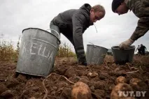 Як ми їздили на картоплю, Back in the USSR back