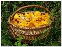 Які існують рецепти маринування грибів - лисички маринування