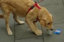 вулиці