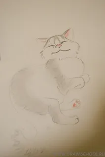 Як намалювати кота чи кішку олівцями кота