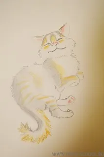 Як намалювати кота чи кішку олівцями кота