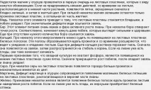 Як по листю огірків визначити дефіцит мікроелементів листю