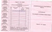 Як отримати путівку на полювання отримати