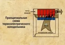 кола