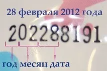 трусиків