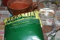 Як правильно пересадити рослину - стаття від користувача ОБІ Клубу правильно