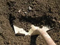 Як сіяти газонну траву газонну