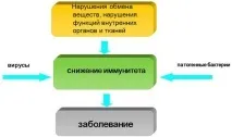 Як зберегти здоров’я особам похилого віку, Політика похилого