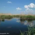 Як я провела відпустку (частина I) відпустку