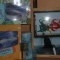 Як я провела відпустку (частина I) відпустку