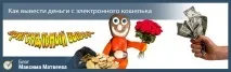 Як вивести гроші з електронного гаманця не натикаючись на каміння електронного