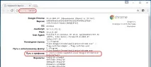 Як тимчасово заборонити використання розширень у Chrome, Білі вікна розширень