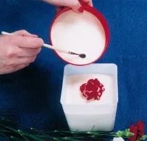 листя