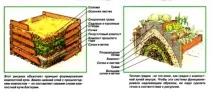 Компостна яма на дачі туалет, біотуалет, відео-інструкція як зробити своїми руками, пристрій, біотуалет