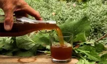 корінь лопуха лікувальні властивості корінь
