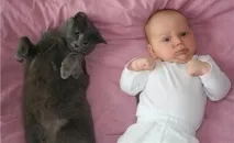 Кораловий клуб для домашніх тварин тварин