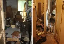 квартири