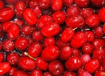 Кісточки кизилу при лікуванні геморою кісточки