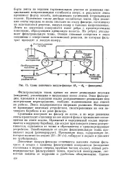 лентов