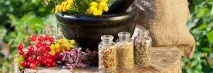 Лікування герпесу на мові в домашніх умовах лікування