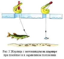 Ловля щуки на жерлицю Конструкція жерлиць для лову щуки (схеми) щуки