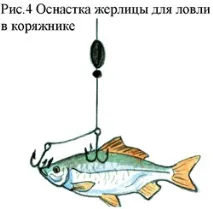 Ловля щуки на жерлицю Конструкція жерлиць для лову щуки (схеми) щуки