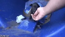 останнє
