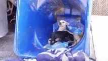 вони