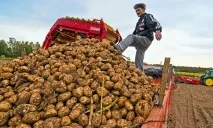 Малий бізнес Дагестану, Новини Дагестану новини