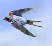 Чому наші думки не дають нам заснути чому