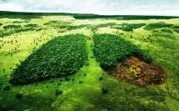 Чому на нашій планеті зникають ліси і чим це загрожуєлюдству планеті