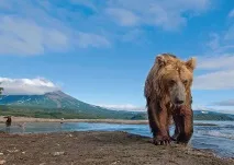 българските