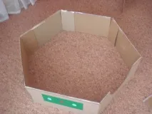 модель