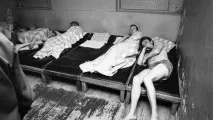 Медвитверезники в СРСР, Політика, економіка, суспільство (без банів) срср