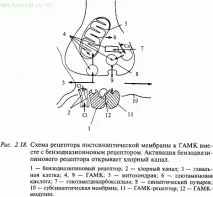 Медіатори нервової системи, Частина I частина