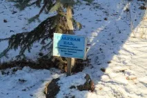 лікарня