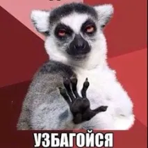 МР 61 та газова пружина пружина