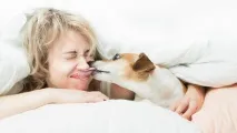 Nu-ți săruta câinele! Este periculos pentru sănătatea ta, Toate știrile din domeniul stomatologiei