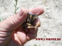 Вогонь від ліхтарика - інструкція із застосування, Інтернет проект Я виживу інструкція