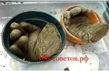 Оригінальна садова скульптура – рука з гіпсу, Вироби своїми руками для авто, дачі та будинку садова