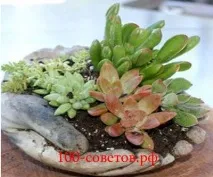 Оригінальна садова скульптура – рука з гіпсу, Вироби своїми руками для авто, дачі та будинку оригінальна