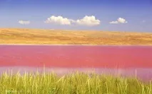 чокракське