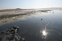 місце