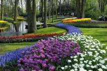 keukenhof