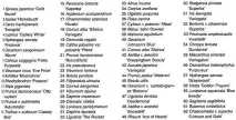 План саду з струмком, рослини, варіанти планування саду