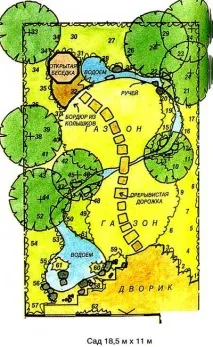 План саду з струмком, рослини, варіанти планування струмком