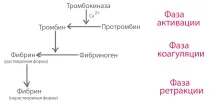 Погана згортання крові хвороба, причини, лікування лікування