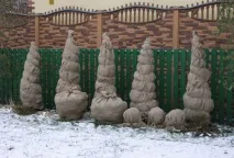 Підготовка хвойних рослин до зими (відео) зими